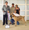 FCI Judge Dr. Rafael Escar Tabue�a, DVM (Spain), Breeder Morgan Ivaldi (Italy), Owners Bob & Leilani Souza and Romeo, the BOS winner at the ICCF National Specialty with 63 entries,&nbsp;including 2 Italian champions among 12 champion males.