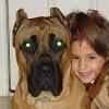 Adamo's Photo Album