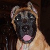 Amy's Photo Album