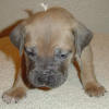 Ariella's Photo Album