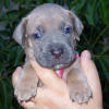 Bambina's Photo Album