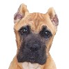 Brunella's Photo Album
