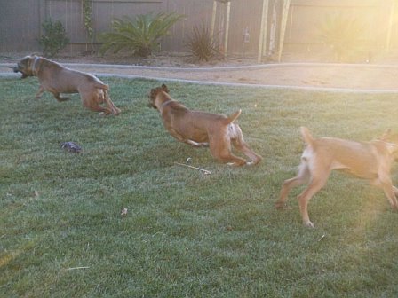 Romeo, Nicoletta and their daughter Carina enjoying family playtime