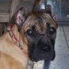 Carina's Photo Album