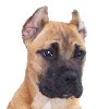 Chianti's Photo Album