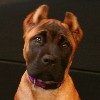 Cinzia's Photo Album