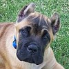 Giovanni's Photo Album
