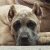 Katarina's Photo Album