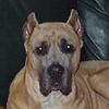 Lola's Photo Album
