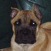 Nico's Photo Album
