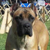 Nicoletta's Photo Album