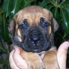 Nikko's Photo Album