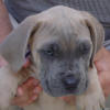 Rocco's Photo Album