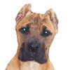 Xena's Photo Album