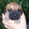 Zita's Photo Album