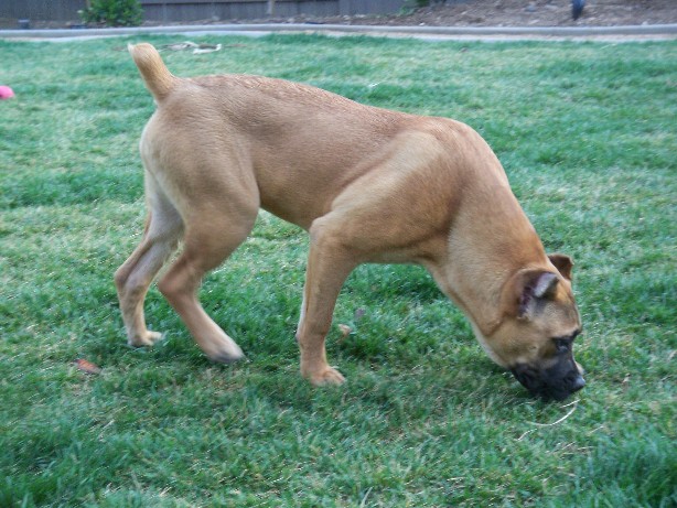 California's Ballera at 6 months