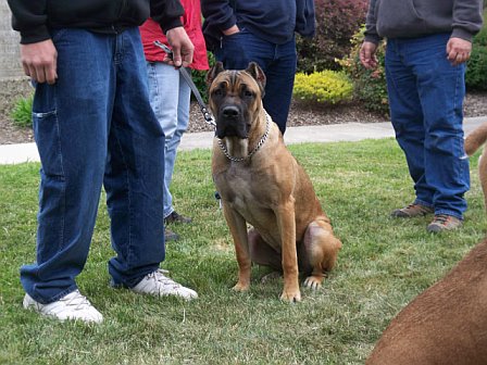 California's Carina at 8 months