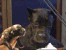 060402 giulietta running.png