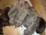 litter a24.png