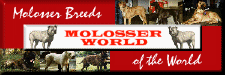Molosser World, Molosser Breeds of the World (Moloss.com) by Kaare Konradsen - "Dedicated to the Molosserbreeds and to their human companions"