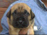 Nicoletta 23 days