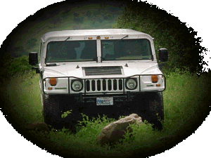 The Cane-Corso-Mobile