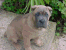 Romeo 67 days