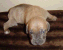 February 4, 2004 - 15 days