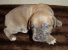 February 4, 2004 - 15 days