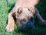 Romeo 118 days