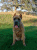 Romeo 7 months