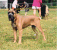 monalina 010905 e.png