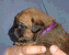 February 9, 2004 - 20 days