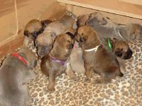 February 7, 2004 - 18 days