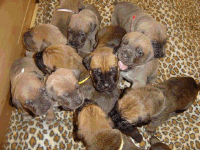 February 7, 2004 - 18 days