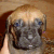 February 15, 2004 - 26 days