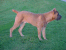 Romeo 7 1/2 months