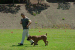 Romeo 8 months