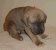 February 16, 2004 - 27 days