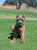 Romeo 8 months