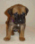 February 16, 2004 - 27 days