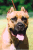 monalina 010905 g.png