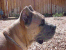 Romeo 10 months