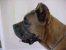 Romeo 10 months
