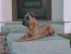 Romeo 11 months