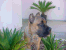 Nicoletta 4 1/2 months