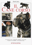 book cantini micaela.png