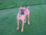 Giulietta 15 1/2 months