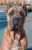 Romeo 14 months