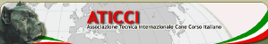 ATICCI - Associazione Tecnica Internazionale Cane Corso Italiano (ATICCI.com) - Many pages are still under construction, but photos of Italian Champions and the Italian Show Results are available. This site is in Italian.